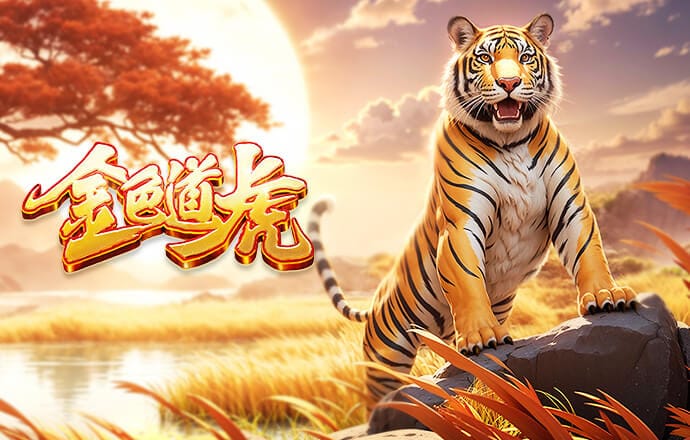 kingkong官网下载